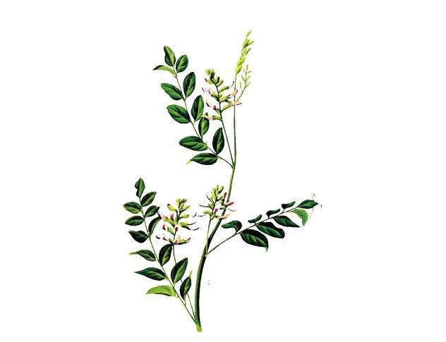 微信图片_20180514163904.jpg 微信图片_20180514163904.jpg