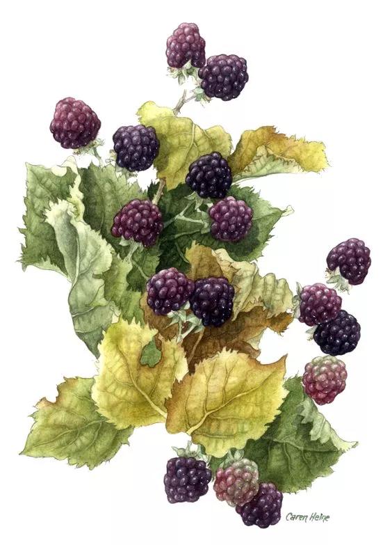 微信图片_20180514163916.jpg 微信图片_20180514163916.jpg