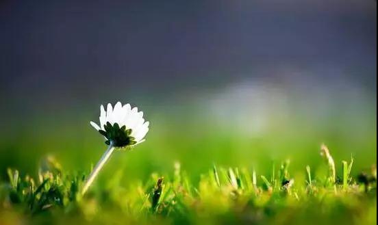 微信图片_20180514162914.jpg 微信图片_20180514162914.jpg