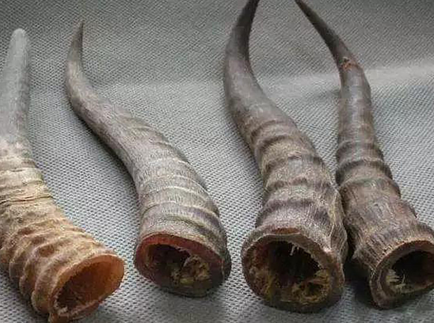 微信图片_20191119083548.jpg 微信图片_20191119083548.jpg